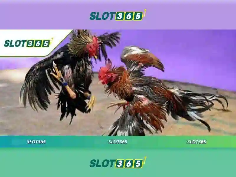 Trải Nghiệm Slot365